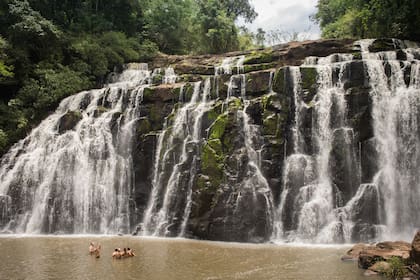 La hoya que se forma frente al salto no es profunda.