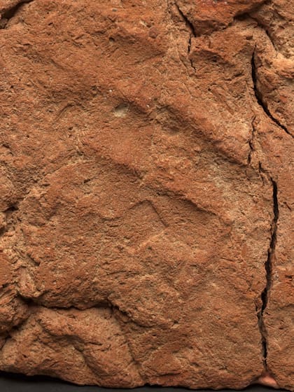 La huella de la palma de la mano completa pasó desapercibida para los expertos del museo hasta que, gracias a los preparativos para una próxima exposición, notaron el detalle