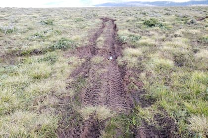 La huella de las 4x4