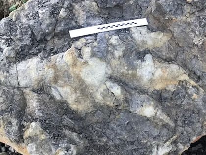 La huella del megalosauario encontrada en Inglaterra