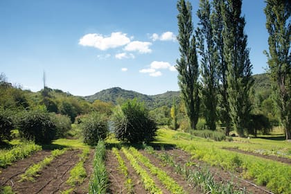 La huerta agroecológica, rodeada de sierras y de un entorno único. Vegetales y hierbas aromáticas se van escalonando según la época del año, y se utilizan tanto en el restorán como en dulces, conservas y como productos secos.