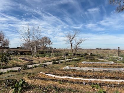 La huerta de Madre Tierra