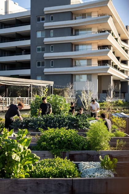 La huerta de Mess, que asume un gran compromiso con la sustentabilidad