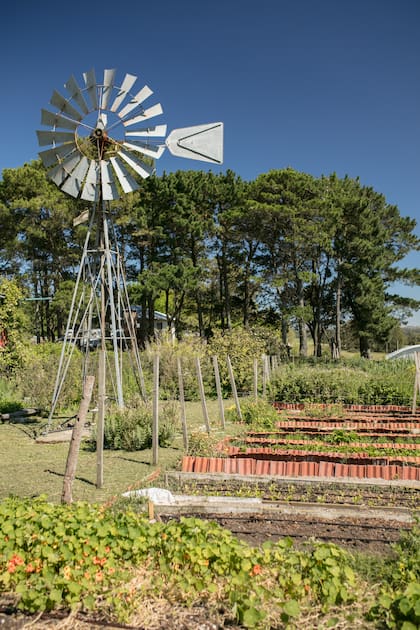 La huerta es parte de la propuesta educativa y productiva de Granja La Piedra.