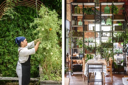 La huerta provee verduras frescas a la cocina. En el interior, las plantas también dicen presente