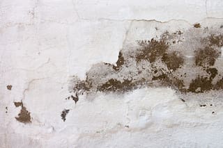 Adiós a las manchas: el paso a paso para reparar una pared afectada por la humedad