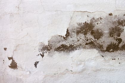 La humedad puede destrozar totalmente el interior del hogar