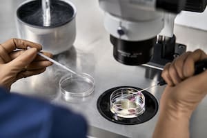 La IA surge como una solución para detectar patrones y aumentar las probabilidades de embarazo