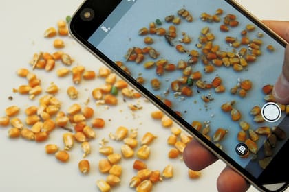 La IA y las tecnologías exponenciales demandan estar a la altura de los procesos.