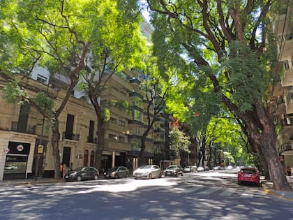 La icónica Avenida Pedro Goyena de Caballito