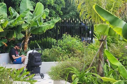 “La idea era convertir una cochera en un terreno donde la gente pueda ir a pasar las mañanas, o ir por las tardes, leer un libro, pasear a sus perros, traer a los niños"