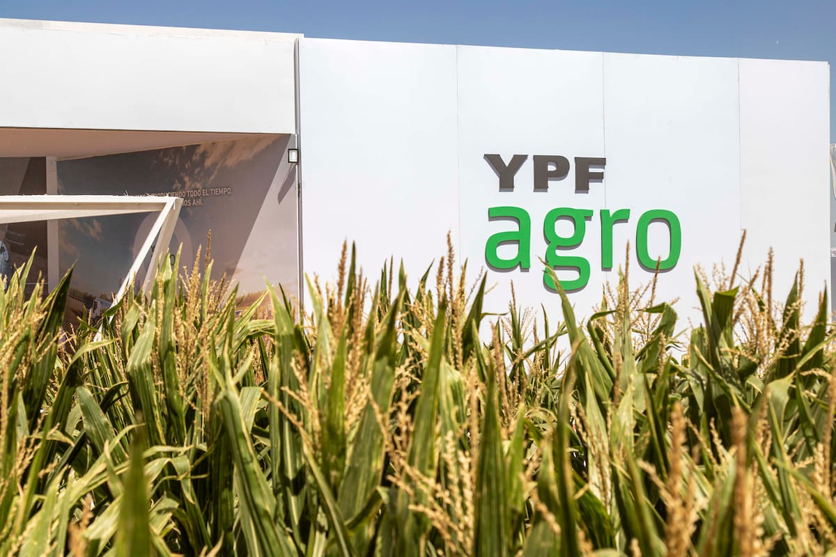 La idea es que, con el nuevo socio, YPF venda el combustible a la sociedad mixta y reciba el pago en pesos o dólares, mientras que la empresa especializada se encargue de la comercialización de los granos que entregan los productores