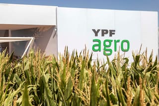 Por qué YPF quiere un socio para su negocio de agro