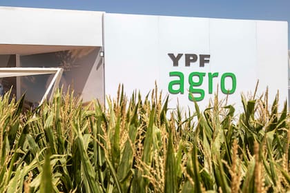 La idea es que, con el nuevo socio, YPF venda el combustible a la sociedad mixta y reciba el pago en pesos o dólares, mientras que la empresa especializada se encargue de la comercialización de los granos que entregan los productores