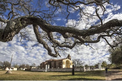 La iglesia del pueblo y el algarrobo centenario.