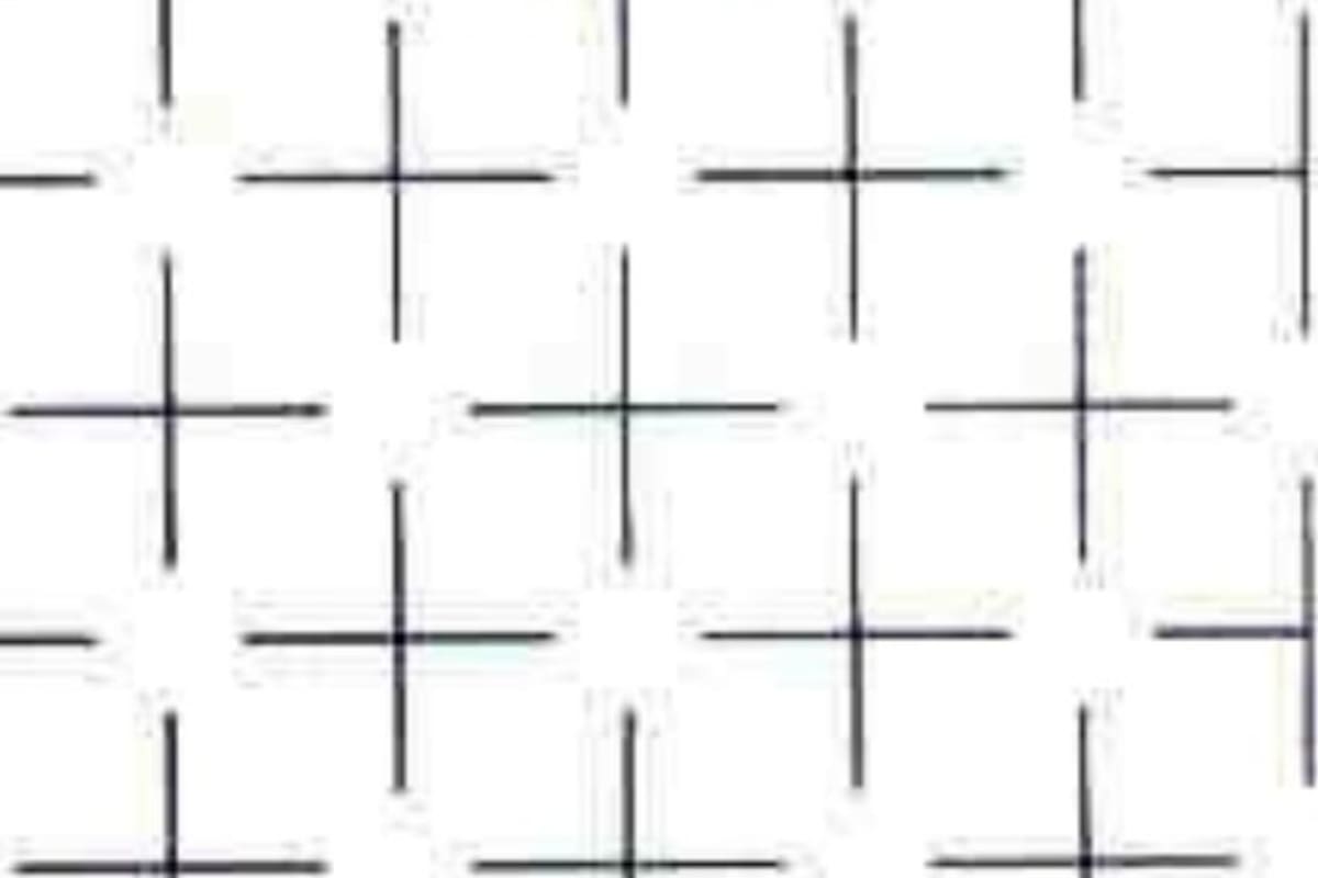 La ilusión óptica que provoca el engaño del 99% de las personas