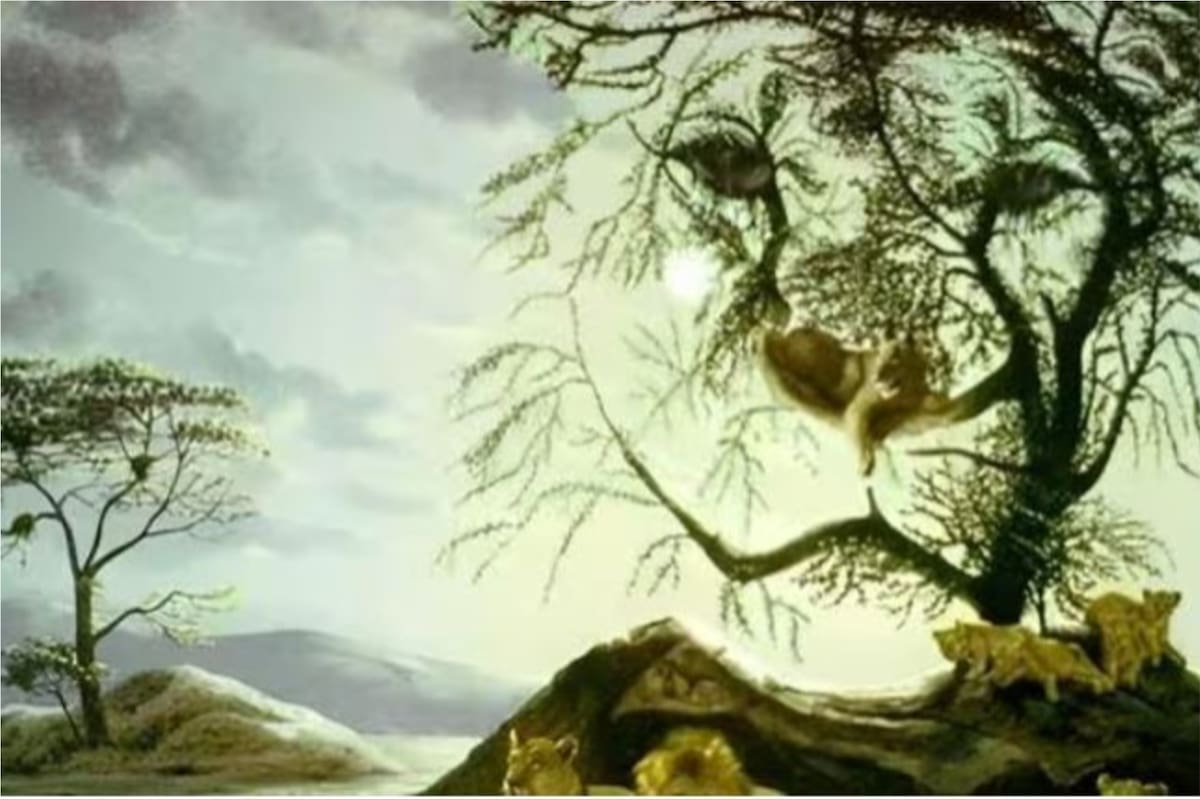 La ilusión óptica que tomó gran repercusión en las redes y obliga a elegir una opción para conocer la personalidad de las personas