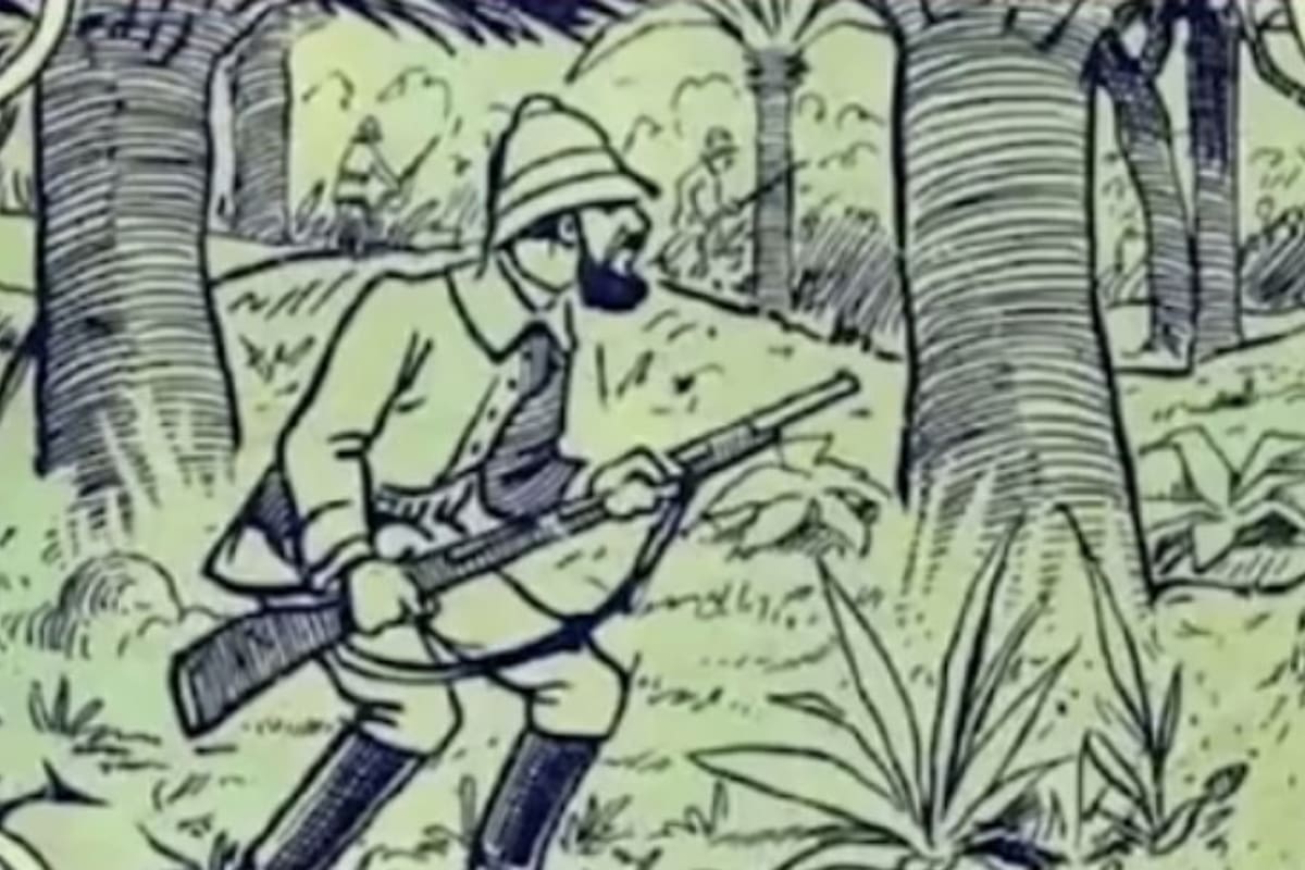 La ilusión óptica solo es resuelta por el 1% de los que intentan ver al elefante.