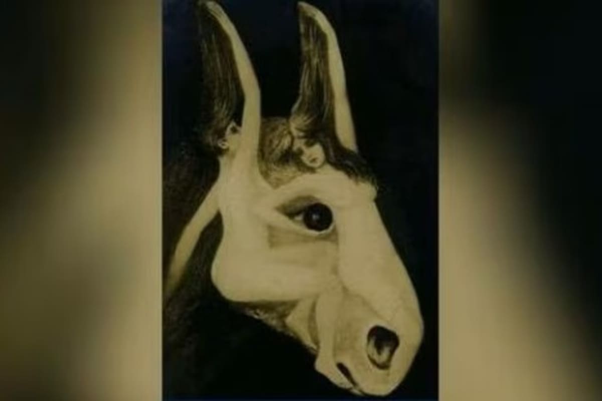 La ilusión óptica te brindará detalles de tu personalidad