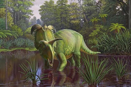 La ilustración de un artista muestra cómo podría haber sido el Lokiceratops hace 78 millones de años