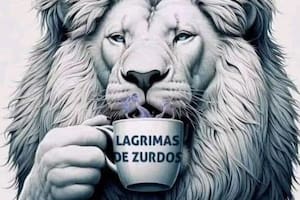 La ilustración que compartió Javier Milei
