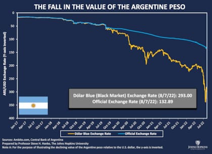 La imagen adjunta al tweet de Steve Hanke que muestra la pérdida de valor del peso argentino