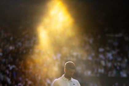 La imagen artística de Novak Djokovic que se viralizó