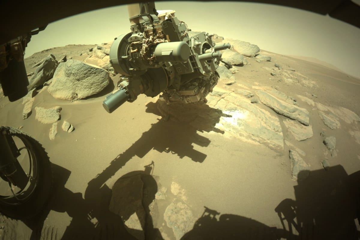 La imagen causó una enorme conmoción en las redes sociales donde muchos internautas se sorprendieron con el particular hallazgo