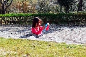 La imagen compartida por un usuario en Reddit que despertó todo tipo de interpretaciones. Tranquilidad: la nena está bien