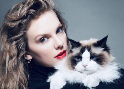 La imagen con la que Taylor Swift publicó su apoyó a Kamala Harris