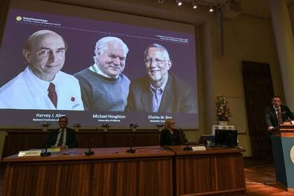 La imagen de Michael Houghton, Harvey J. Alter y Charles M. Rice durante la premiación