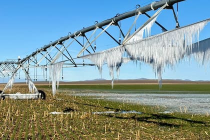 La imagen del equipo de riego con agujas congeladas de agua