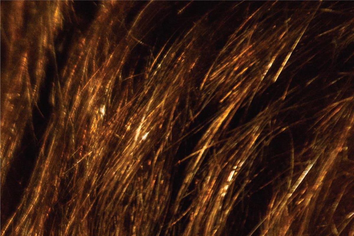 La imagen elegida para confirmar en las redes sociales la candidatura de Diego Santilli