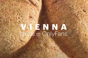 La imagen elegida por el sitio web turístico de Viena para promocionar las obras de sus principales museos