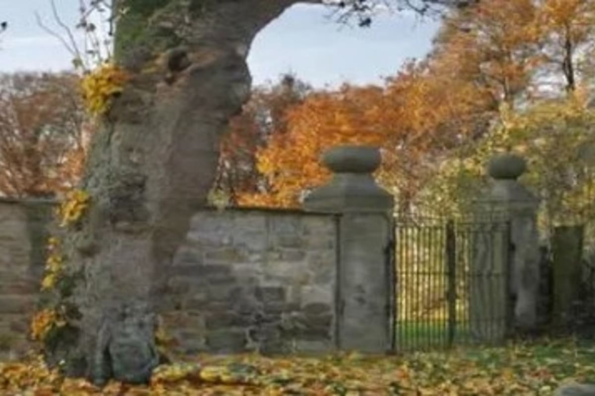 La imagen que desafía la agilidad visual de los usuarios más experimentados.