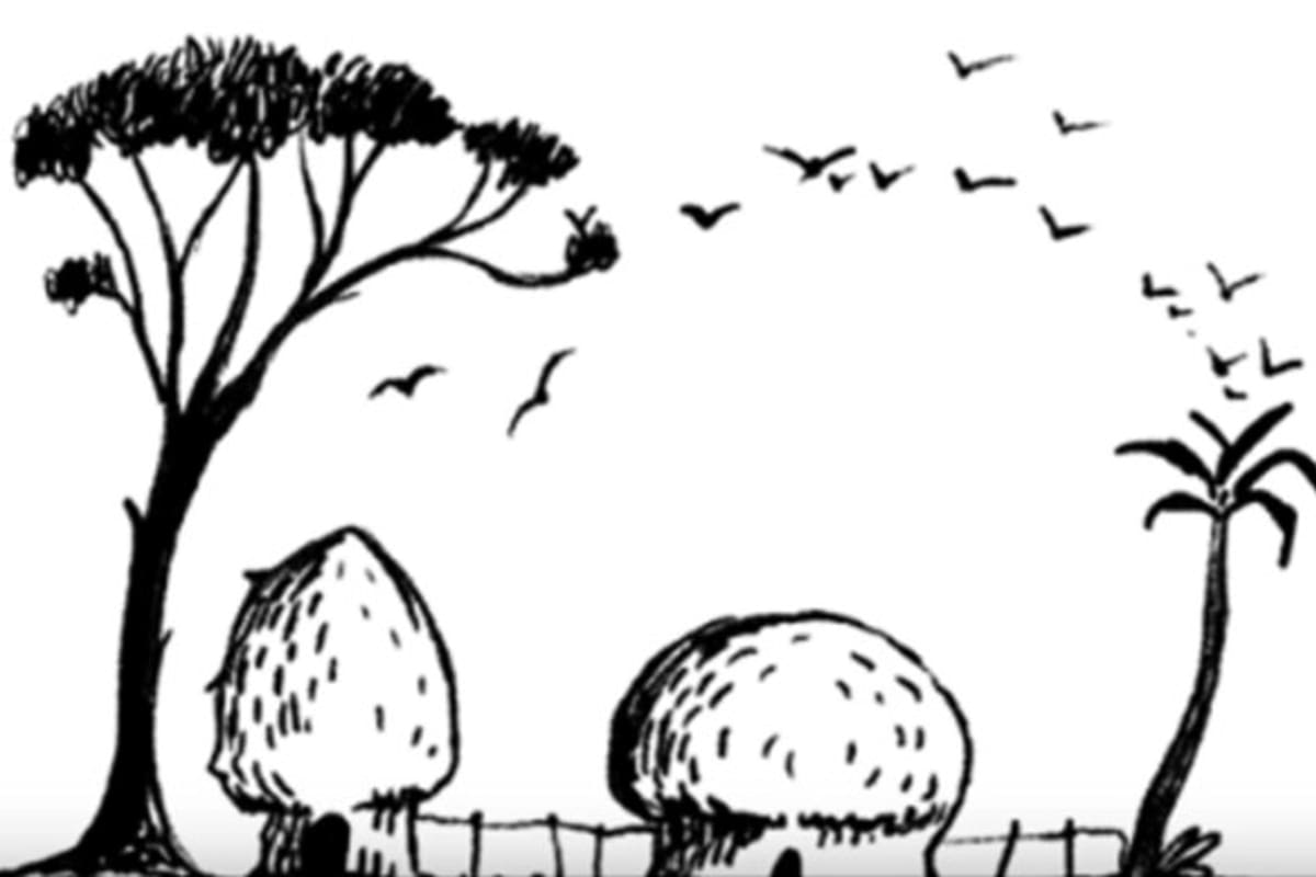 La imagen que se viralizó en redes y promete descubrir qué tan conservador sos.