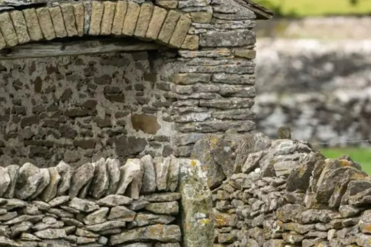 La imagen que tiene al búho camuflado con una pared