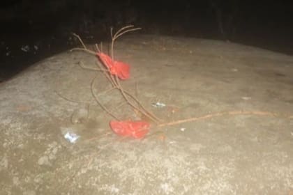 La imagen sobre una roca que habría sido sacada a la madrugada