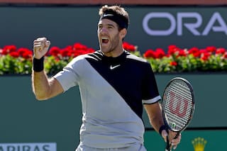 Del Potro derrotó a Raonic y jugará con Federer la final de Indian Wells