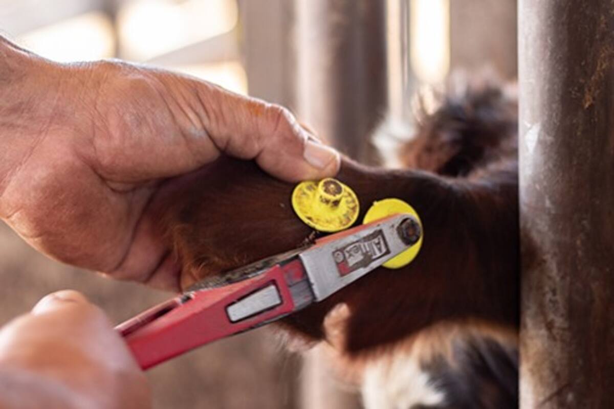 La implementación, que iba a comenzar el 1° de marzo próximo, pasó para el 1° de enero de 2026