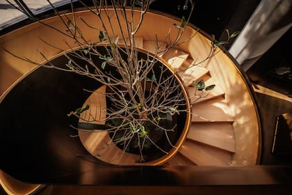 La imponente escalera caracol