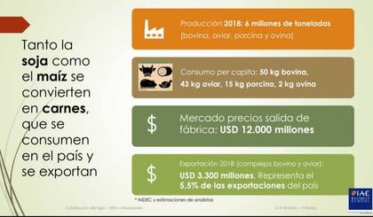 La importancia de las carnes