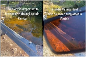 La importancia de utilizar anteojos de sol polarizados en Florida