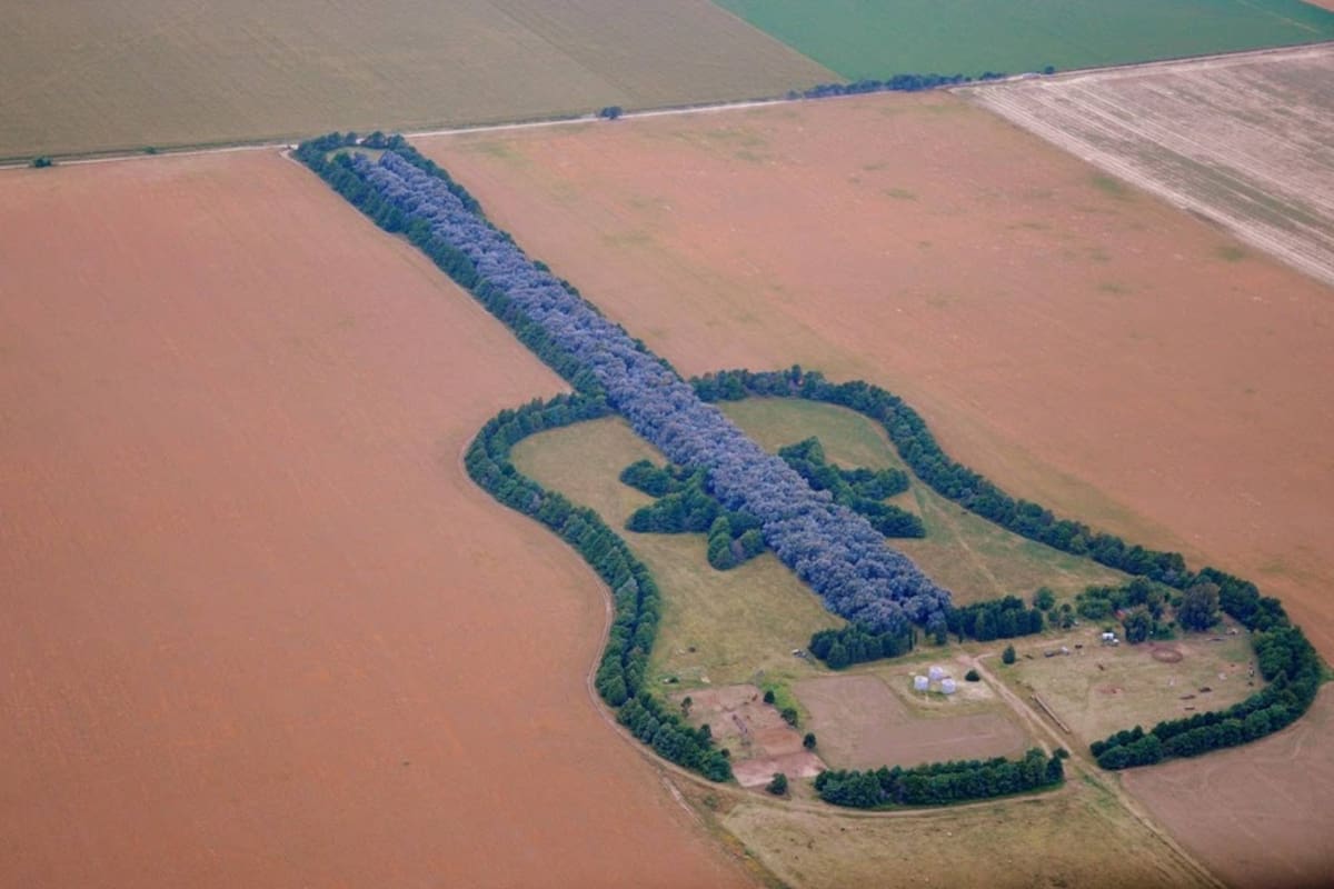 La impresionante guitarra realizada con árboles que puede verse desde el cielo fue realizada como un profundo acto de amor que perdura en el tiempo