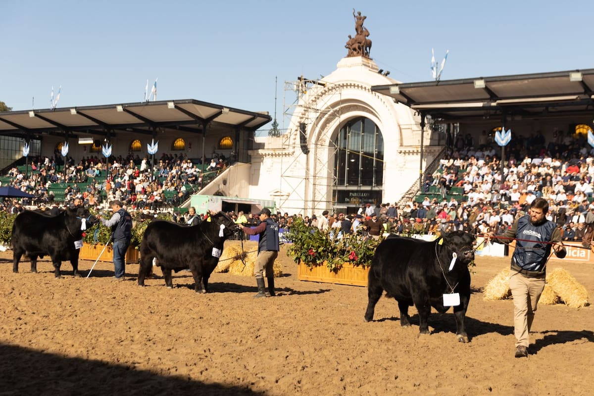 La inauguración oficial será el 29, y como protocolo se invitó al presidente Alberto Fernández, pero aun no confirmó su asistencia