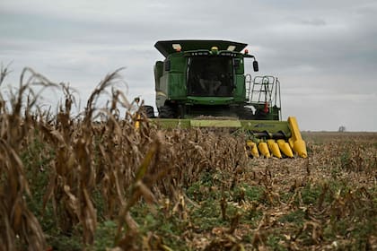 La incertidumbre sobre el número final de la cosecha argentina de maíz no se refleja todavía en las pizarras de Chicago