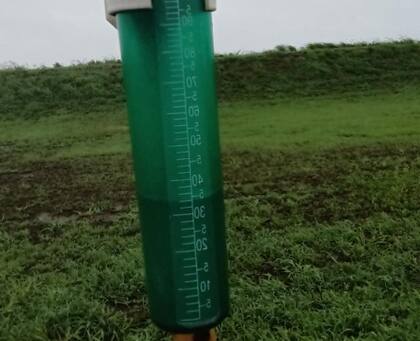 "La incertidumbre sobre si el temporal afectó los cultivos plantea dudas sobre la reciente estimación de producción de trigo de 14,5 millones de toneladas”, dijeron en la BCR