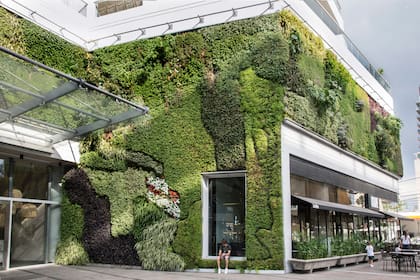 La incorporación de jardines verticales o muros verdes mejora la eficiencia térmica de las construcciones