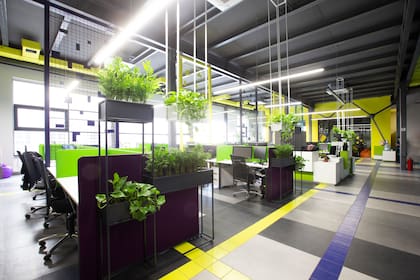 La incorporación de verde y naturaleza en las oficinas es una decisión que se impuso pospandemia