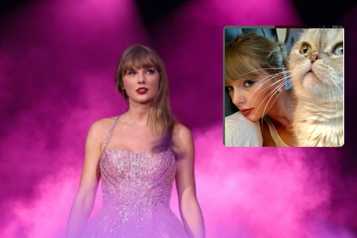 La increíble fortuna de la gata de Taylor Swift